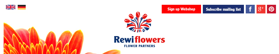 Rewiflowers